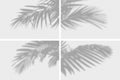 Shadow overlay of palm tree branch. Set of transparent overlay shadow effects from tropical palm leaves. Royalty Free Stock Photo